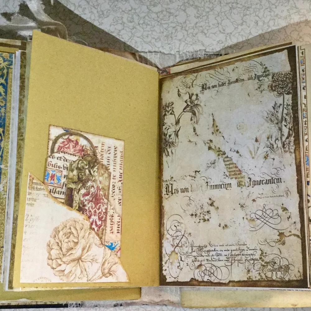 🌺 Distinct Victorian 🌸 Fractsi riella Journal 💮